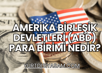 Amerika Birleşik Devletleri (ABD) Para Birimi Nedir?