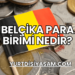 Belçika Para Birimi Nedir?
