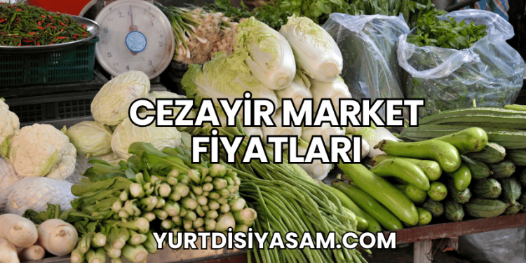 Cezayir Market Fiyatları