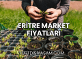 Eritre Market Fiyatları