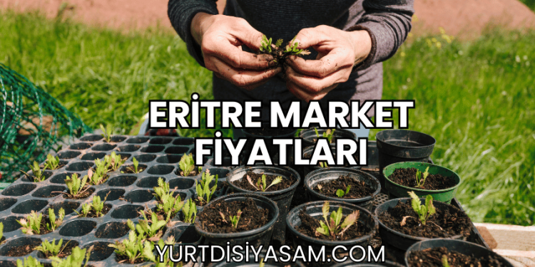 Eritre Market Fiyatları