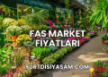 Fas Market Fiyatları