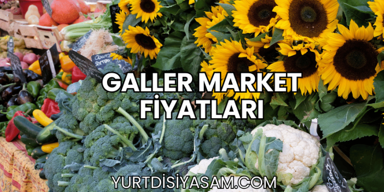 Galler Market Fiyatları