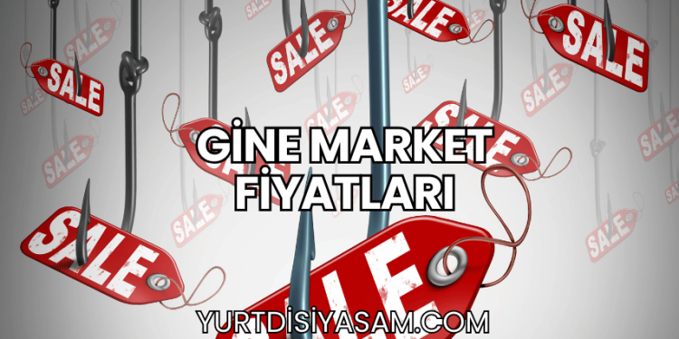 Gine Market Fiyatları