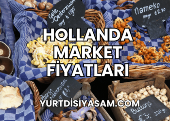 Hollanda Market Fiyatları