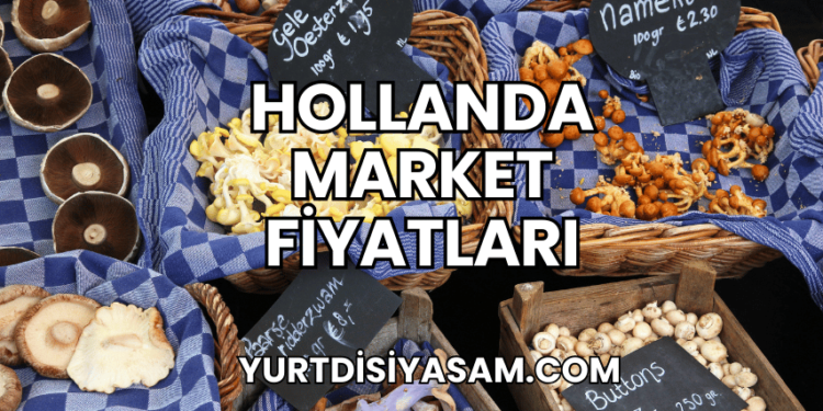 Hollanda Market Fiyatları