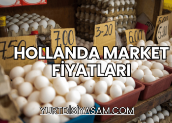 Hollanda Market Fiyatları