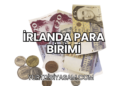 İrlanda Para Birimi