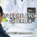 İsveç'te Aylık Giderler