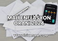 Mali Enflasyon Oranı 2024