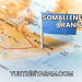 Somali Enflasyon Oranı 2024