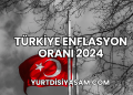 Türkiye Enflasyon Oranı 2024