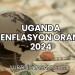 Uganda Enflasyon Oranı 2024