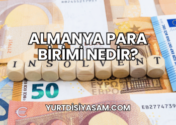 Almanya Para Birimi Nedir?