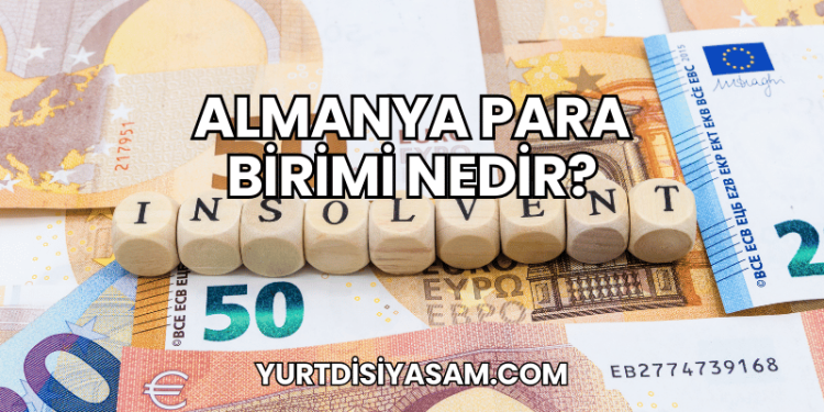 Almanya Para Birimi Nedir?