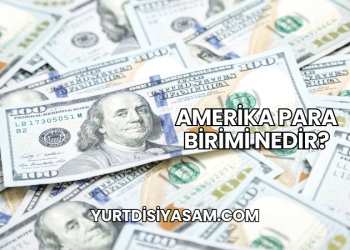 Amerika Para Birimi Nedir?
