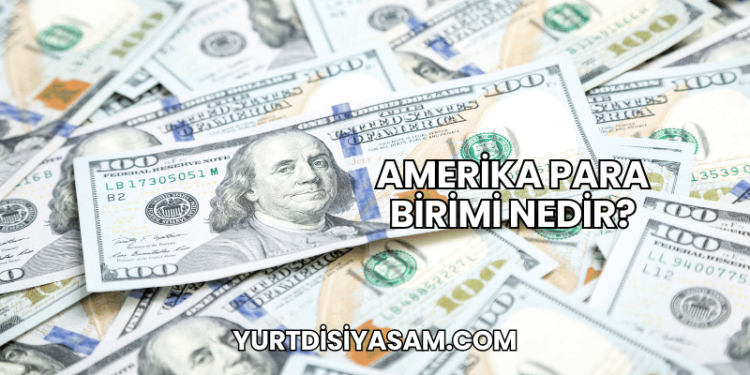 Amerika Para Birimi Nedir?