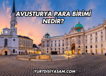 Avusturya Para Birimi Nedir?
