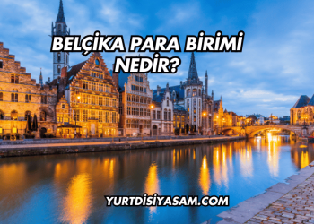 Belçika Para Birimi Nedir?