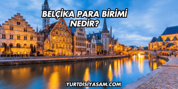 Belçika Para Birimi Nedir?