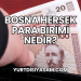 Bosna Hersek Para Birimi Nedir?