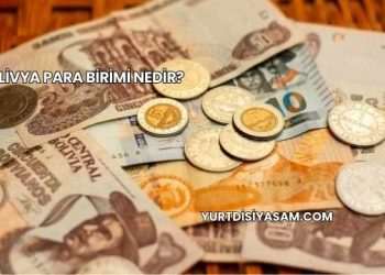 Bolivya Para Birimi Nedir?