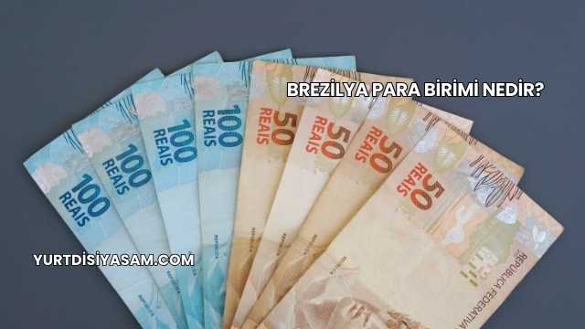Brezilya Para Birimi Nedir?