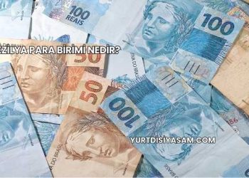 Brezilya Para Birimi Nedir?
