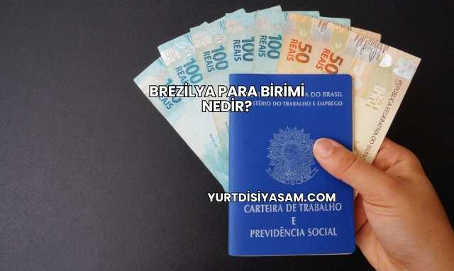 Brezilya Para Birimi Nedir?