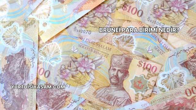 Brunei Para Birimi Nedir?