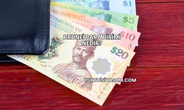 Brunei Para Birimi Nedir?