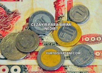 Cezayir Para Birimi Nedir?