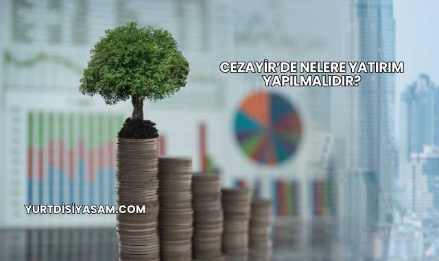 Cezayir’de Nelere Yatırım Yapılmalıdır?