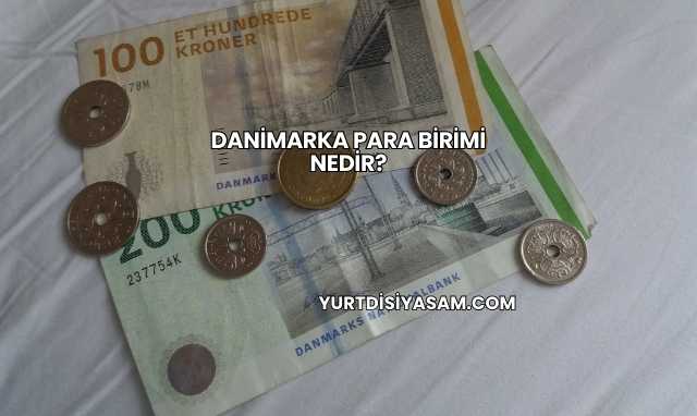 Danimarka Para Birimi Nedir?