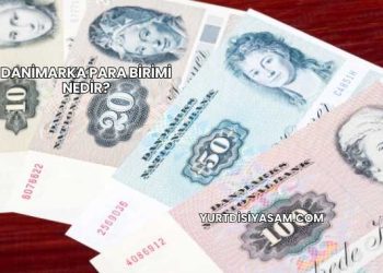 Danimarka Para Birimi Nedir?