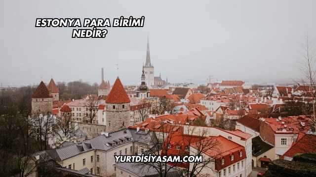 Estonya Para Birimi Nedir?