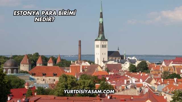 Estonya Para Birimi Nedir?