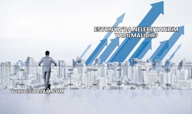 Estonya’da Nelere Yatırım Yapılmalıdır?