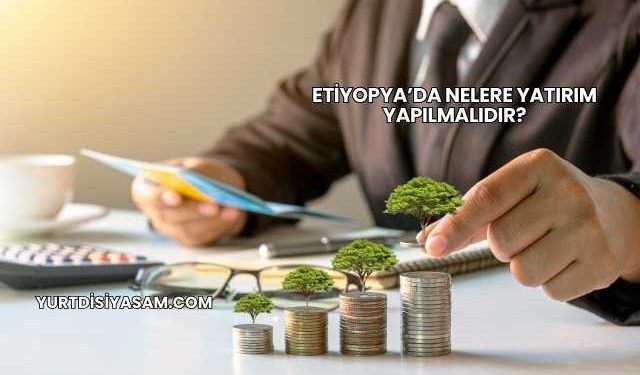 Etiyopya’da Nelere Yatırım Yapılmalıdır?