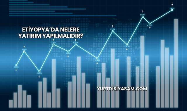 Etiyopya’da Nelere Yatırım Yapılmalıdır?