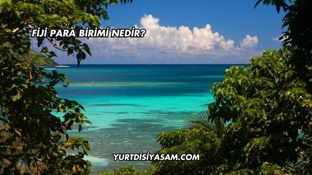 Fiji Para Birimi Nedir?