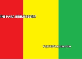 Gine Para Birimi Nedir?