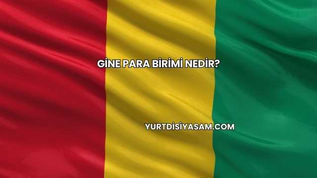 Gine Para Birimi Nedir?