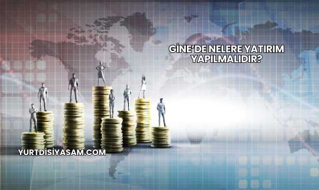 Gine’de Nelere Yatırım Yapılmalıdır?