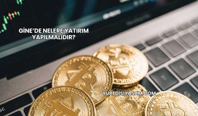 Gine’de Nelere Yatırım Yapılmalıdır?