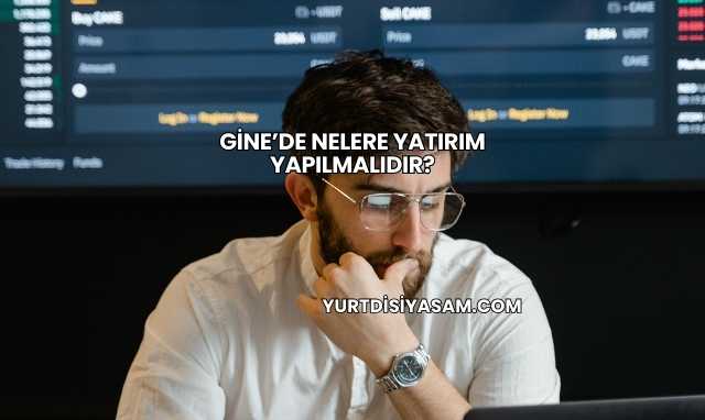Gine’de Nelere Yatırım Yapılmalıdır?