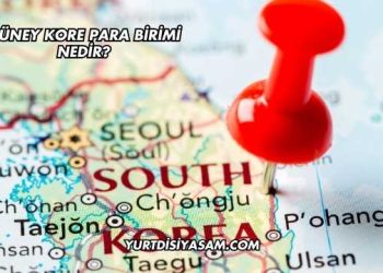 Güney Kore Para Birimi Nedir?