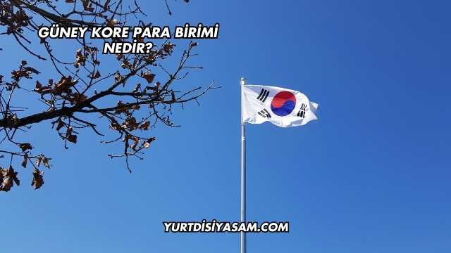 Güney Kore Para Birimi Nedir?