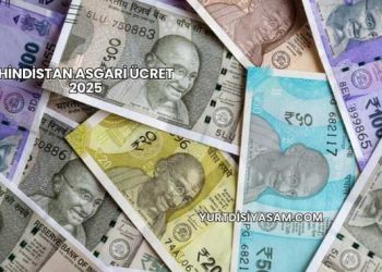 Hindistan Asgari Ücret 2025