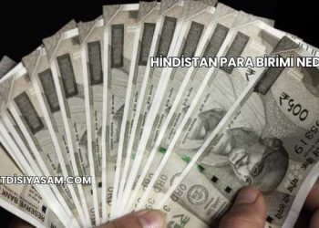 Hindistan Para Birimi Nedir?